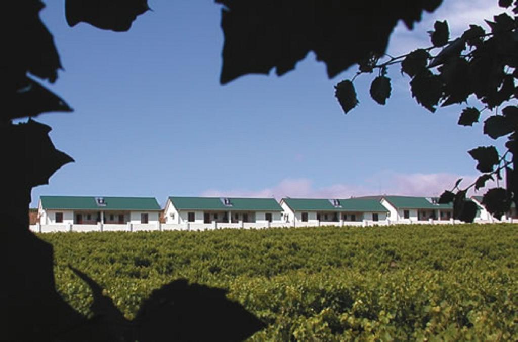 D'Aria Guest Cottages Durbanville Dış mekan fotoğraf